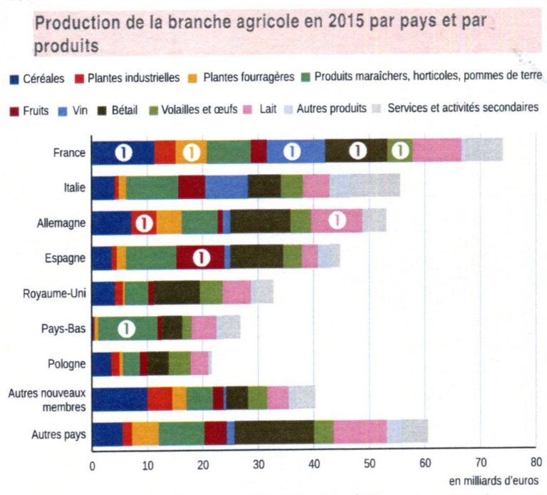 L’agriculture française se redresse et reste au premier rang en Europe